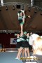 Thumbs/tn_IMG_8309.jpg
