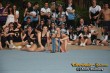 Thumbs/tn_IMG_8486.jpg