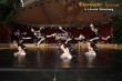 Thumbs/tn_IMG_8683.jpg