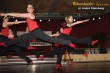 Thumbs/tn_IMG_8892.jpg