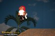 Thumbs/tn_IMG_9545.jpg