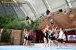 Thumbs/tn_IMG_5705.jpg