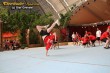 Thumbs/tn_IMG_5733.jpg