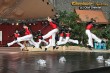 Thumbs/tn_IMG_6386.jpg