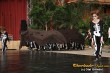 Thumbs/tn_IMG_6678.jpg