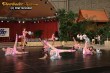 Thumbs/tn_IMG_6784.jpg
