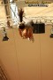 Thumbs/tn_IMG_2953.jpg