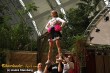 Thumbs/tn_IMG_3262.jpg