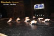 Thumbs/tn_IMG_5984.jpg