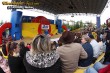 Thumbs/tn_IMG_9014.jpg