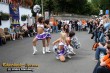 Thumbs/tn_IMG_0272.jpg