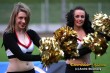Thumbs/tn_IMG_6166.jpg