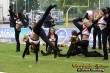 Thumbs/tn_IMG_8765.jpg