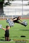 Thumbs/tn_IMG_8497.jpg