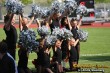 Thumbs/tn_IMG_8502.jpg