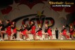 Thumbs/tn_IMG_0931.jpg