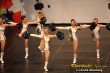 Thumbs/tn_IMG_1442.jpg