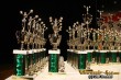 Thumbs/tn_IMG_3318.jpg