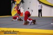 Thumbs/tn_IMG_3913.jpg