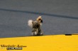Thumbs/tn_IMG_6311.jpg
