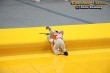 Thumbs/tn_IMG_4708.jpg