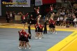 Thumbs/tn_IMG_4989.jpg