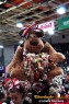 Thumbs/tn_IMG_5596.jpg