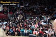 Thumbs/tn_IMG_6432.jpg