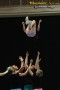 Thumbs/tn_SpiritChallenge0176.jpg