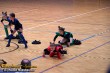 Thumbs/tn_100_4888.jpg