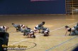 Thumbs/tn_100_4991.jpg