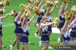 Thumbs/tn_101_1980.jpg