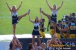 Thumbs/tn_101_2109.jpg