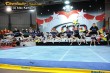 Thumbs/tn_IMG_8299.jpg