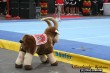 Thumbs/tn_IMG_7237.jpg