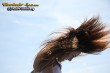 Thumbs/tn_IMG_5771.jpg