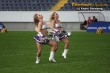 Thumbs/tn_IMG_8288.jpg