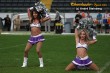 Thumbs/tn_IMG_8306.jpg