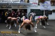 Thumbs/tn_IMG_4598.jpg