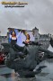 Thumbs/tn_DSC_1503.jpg