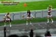 Thumbs/tn_DSC_2428.jpg