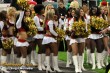 Thumbs/tn_DSC_2463.jpg