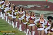 Thumbs/tn_IMG_3499.jpg