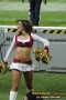 Thumbs/tn_IMG_3641.jpg