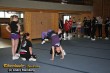 Thumbs/tn_IMG_9804.jpg