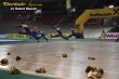 Thumbs/tn_IMG_0191.jpg
