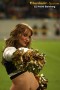 Thumbs/tn_IMG_2255.jpg