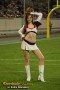 Thumbs/tn_IMG_2321.jpg