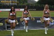 Thumbs/tn_IMG_3235.jpg