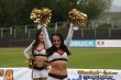 Thumbs/tn_IMG_3508.jpg